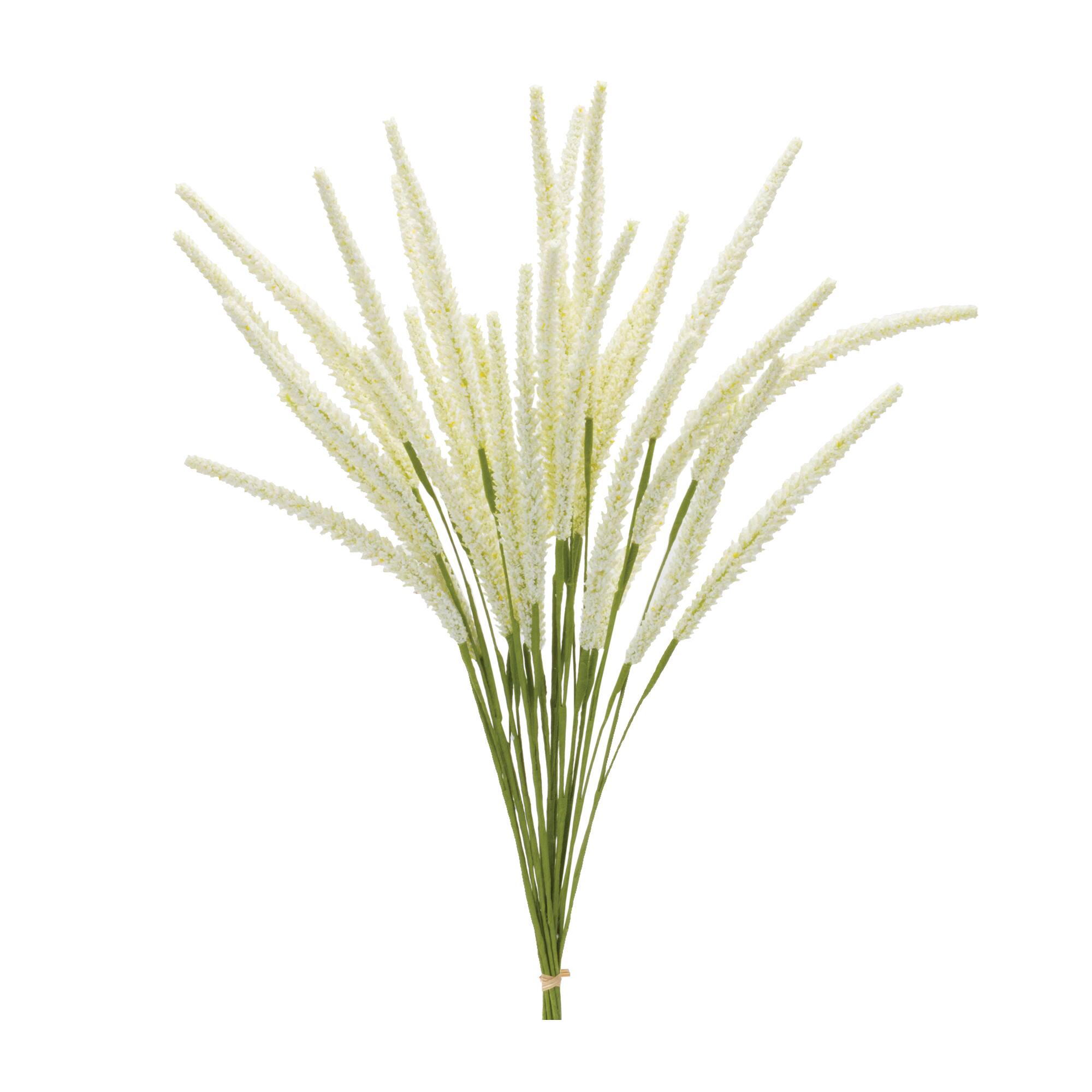 22" Foxtail Bundles, 6ct.